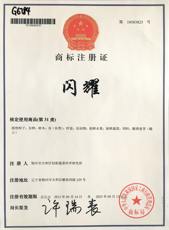 成武網(wǎng)站建設(shè)
