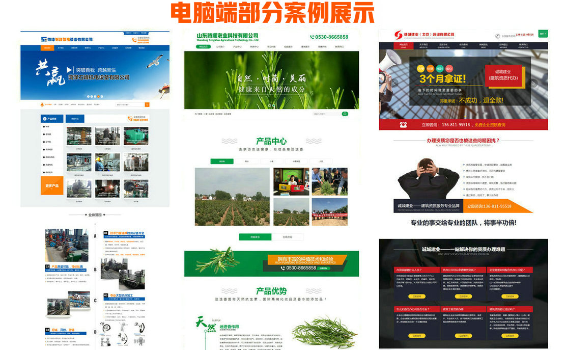 成武網(wǎng)站改版